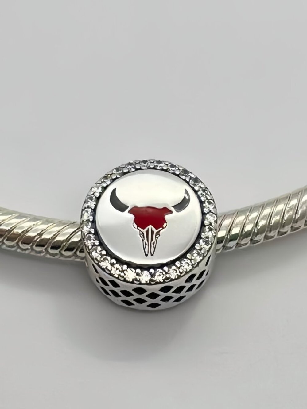 Pandora New Mexico exclusive charm